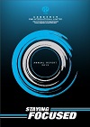 YHI 2013 Annual Report