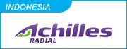 achilles 